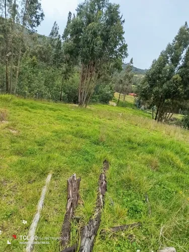 Lote En Nemocón