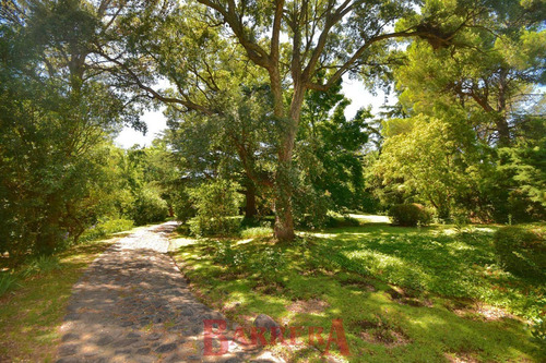 Imagen 6 de 30 de Chalet S/av. Dos Venados Sobre Lote 5801 M2. Excelente Prop.