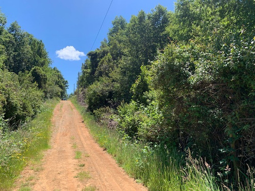 Parcela De 15 Has, A 1 Km Ruta 5 , Lipingue, Los Lagos