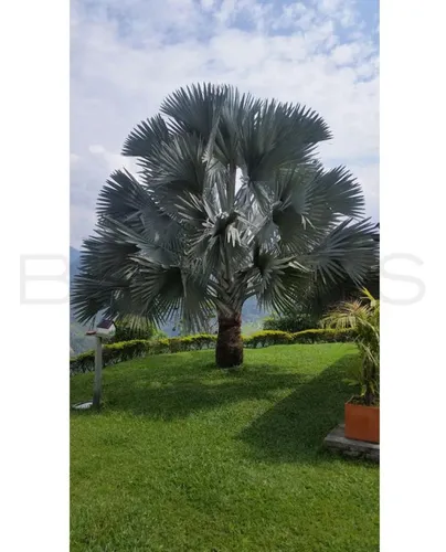 Finca En Venta En La Vega. Cod V7414