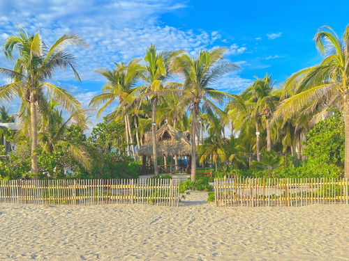 Acapulco  Casa Playa Encantada  Super Promoción Invitamos A Una Pequeña Y Amigable Mascota Y Te Regalamos Una Fogata En La Playa Para Que Se La Pasen...¡¡¡como En Casa...pero, Con Playa...!!!