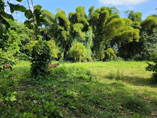 Se Vende De Oportunidad Finca En Rancho Los Mogotes Y Negociable