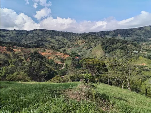 Lote En Venta, Los Cedros, Cocorná