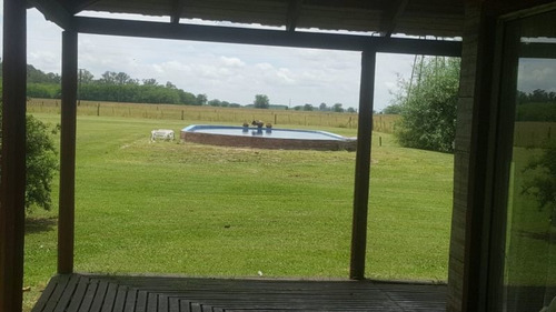 Imagen 5 de 17 de Campo En Venta En Lobos