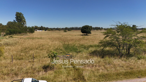 En Venta Terrenos En Zona Termas A 70 Mts Ruta 51