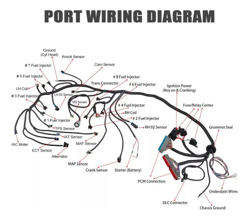 Arnés Simplificado Motores Ls Swap Adaptación 4.8-5.3-6.0