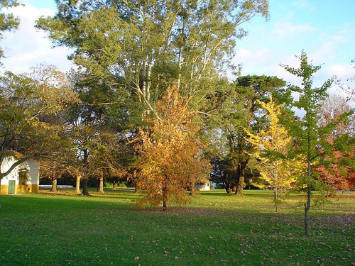 Campo Daromy