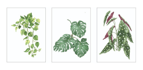 pics Cuadros De Hojas Para Imprimir laminas para imprimir plantas y hojas para cuadros set x 3