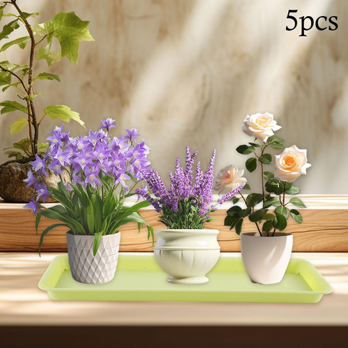 5x Platillos Plantadores Bandejas Compactas Verde