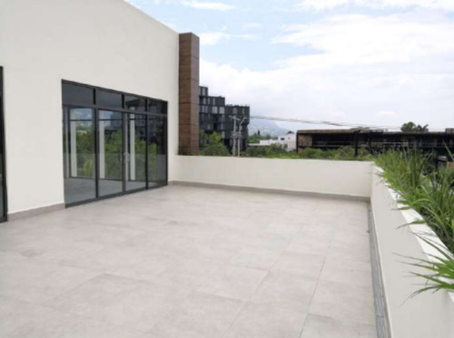 Local Comercial Plaza 404