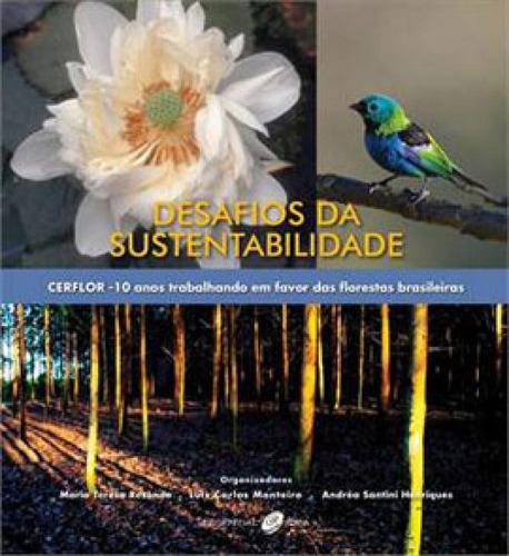 Desafios Da Sustentabilidade Cerflor: 10 Anos Trabalhando Em Favor Das Florestas, De Rezende, Maria Teresa R.. Editora Essential Idea, Capa Mole Em Português