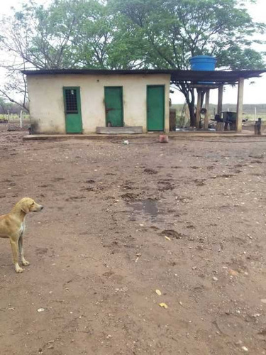 Imagen 14 de 14 de Finca 2.500 Hectáreas En Guárico, Vía El Sombrero