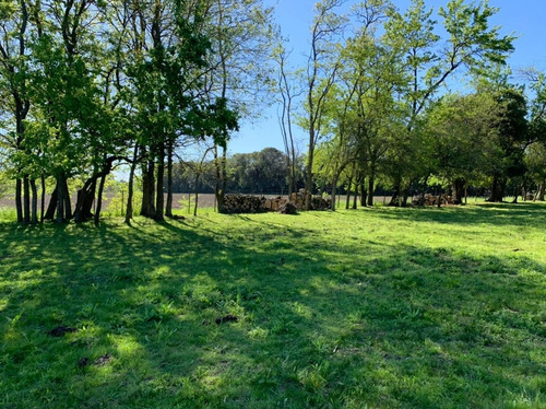 Imagen 6 de 24 de Venta/permuta- Hermosa Parcela De 8500 Mts