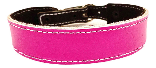 Collar P/perro Bicolor De Cuero C/picos