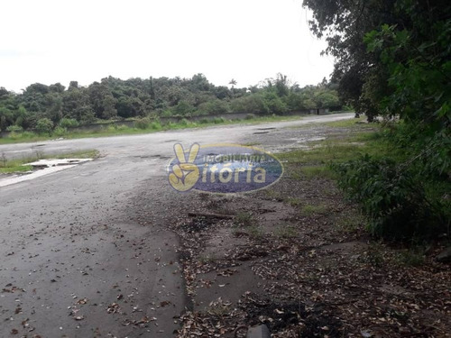 Imagem 14 de 27 de Terreno Para Locação No Bairro Alvarenga, 15800 M - 8875