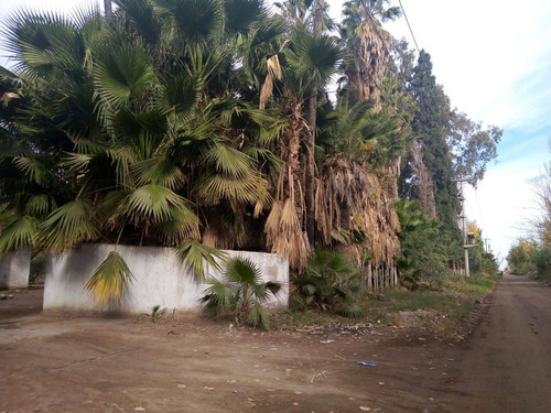 Imagen 8 de 10 de Finca En Venta En Lavalle Mendoza Con Cultivo