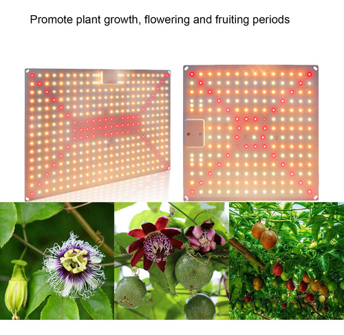 Led Plant Grow Light 50w Full Spectrum Para Estufa