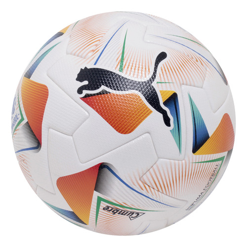 Pelota Puma Cumbre Conmebol Libertadores Fifa Pro 24 Bl Na