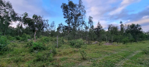 Venta Terreno En El Carril 600 M², San Antonio