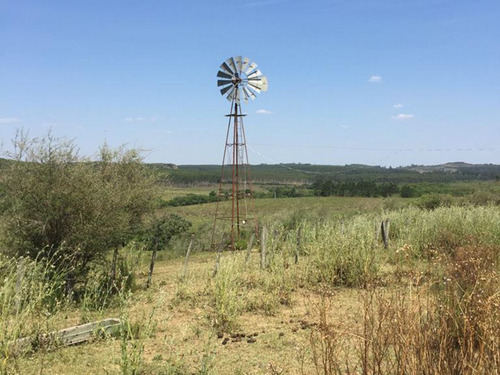 Campo En Venta En Rivera Ref. 7945 (ref: Cbr-1220)