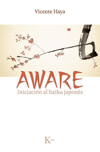 Aware - Vicente Haya