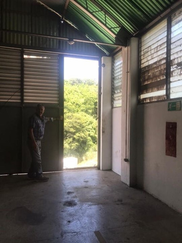 Imagen 6 de 8 de Se Alquila Galpón 300m2 El Llanito 5774