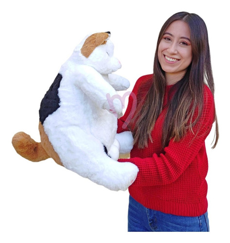 Imagen 3 de 3 de Peluche Gato Con Manchas Kawaii Huevos De Fuera 45cm