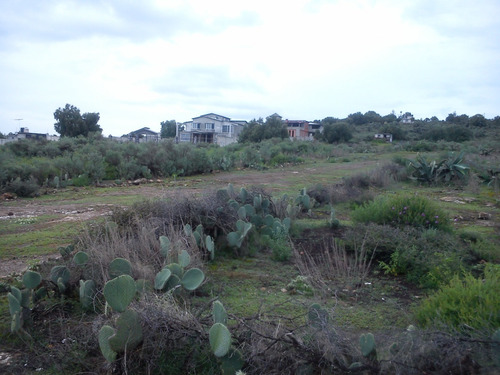 Terreno En Zempoala Hidalgo De 640 Metros Cuadrados.