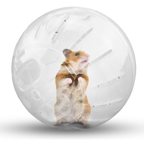 Esferas Para Hamster