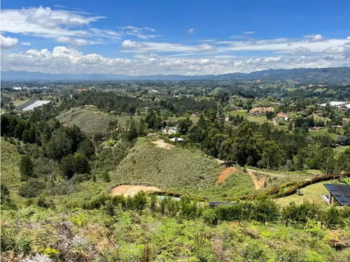 Rhbr-14483 (lote) (guarne)