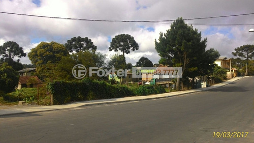Imagem 5 de 7 de Fazenda / Sítio / Chácara, 3 Dormitórios, 300 M², Bairro Do Moinho - 202976
