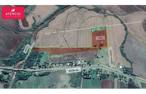 Imagen 4 de 30 de Molino Doll, Campo De 9 Hectáreas Con Casa, Sobre Ruta Y Con Costa De Arroyo