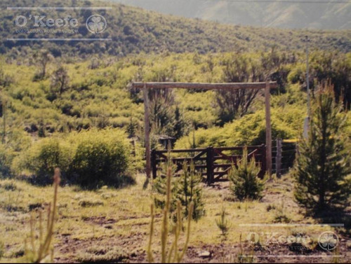 Imagen 3 de 10 de Chacra En Venta En Rio Negro, Localidad De El Foyel - 20 Has Turismo