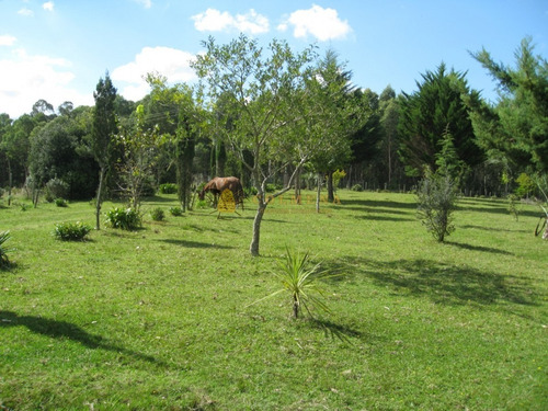 Campo En Rocha - Ideal Para Descanso - Consulte !!!!!- Ref: 3174