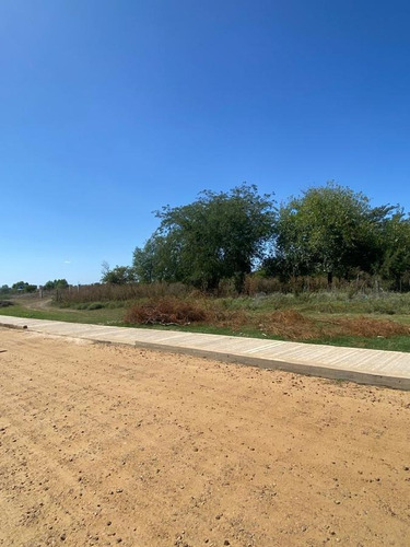 Imagen 2 de 6 de Terreno En Gualeguaychu