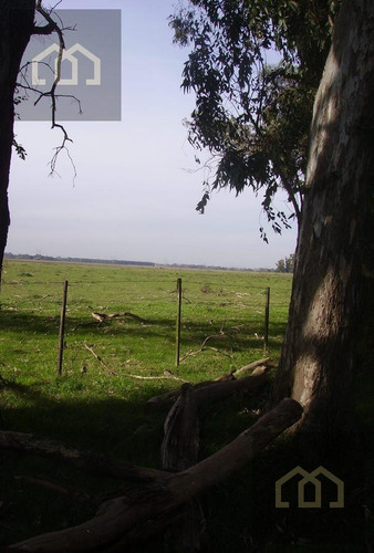 Imagen 4 de 15 de Campo Premium Para Country - Barrio Privado