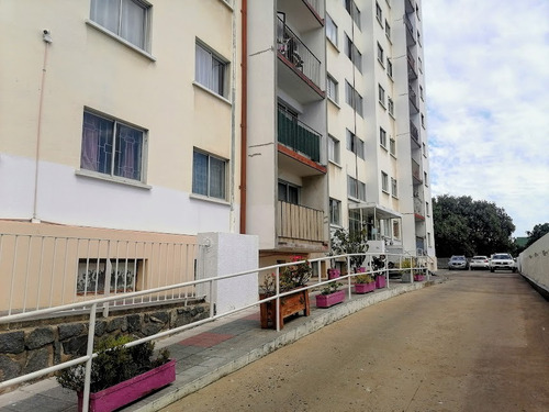 Impecable Y Acogedor Depto Calle Monte Alegre C° Alegre