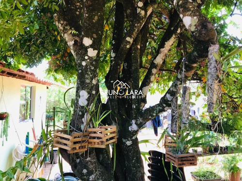 Casa À Venda Em Igarapé Condomínio Fazenda Solar - Ibl1525