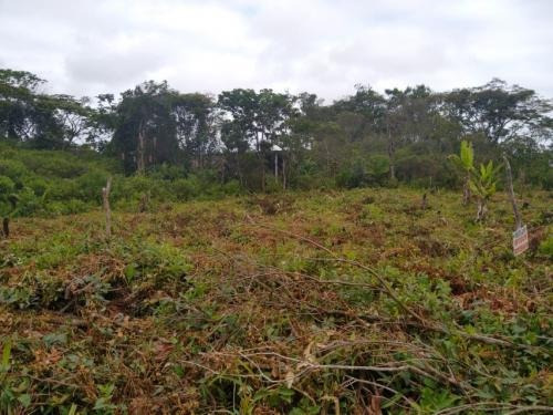 Imagem 4 de 9 de Terreno No Litoral À Venda De 137 M² - 7412 Lc