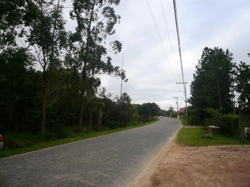 Imagem 2 de 6 de Terreno Residencial À Venda, Ratones, Florianópolis - Te0001. - Te0001