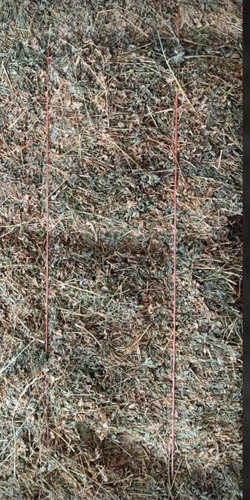Imagen 7 de 7 de Fardos Cuadrados Y Redondos De Alfalfa Precio A Conversar