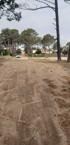 Imagen 5 de 8 de *permuta* Ostende Galpon 500m2 + Casa