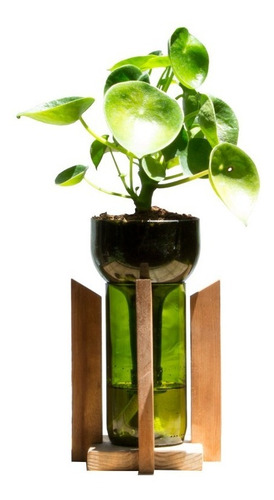 Cuchara Little Plant 24 Con Soporte