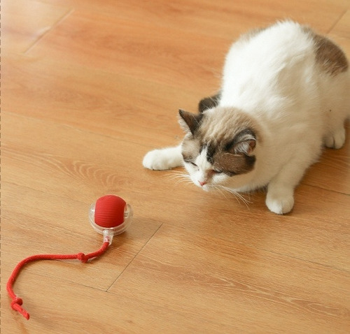 Para Bola De Brinquedo Automática Recarregável Usb Para.