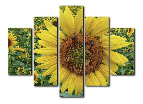 Cuadro Decorativo Canvas 5pz 120x80 Girasol Amarillo Campo