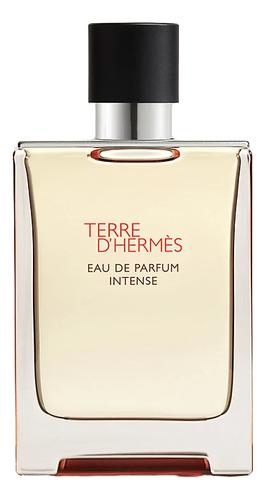 Terre D Hermes Edp Intense 100ml