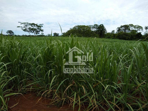 Imagem 1 de 3 de Fazenda À Venda, Com 51,6 Alqueires Por R$ 8.300.000 - Zona Rural - Santa Cruz Da Esperança/sp - Fa0249