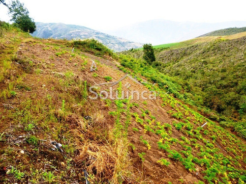Imagen 3 de 18 de Haciendas - Finca En Venta, Mérida