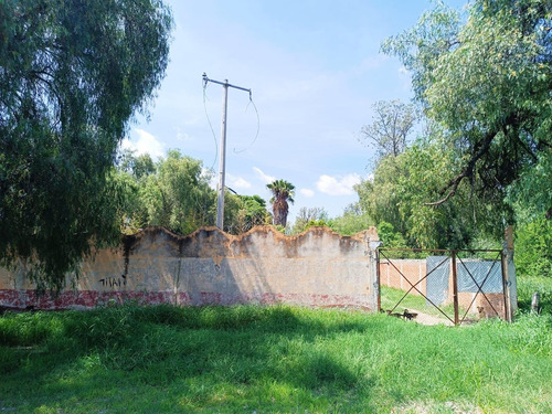 Propiedad En Renta/venta Camino A San Jose De Los Mendoza San Juan De La Vega Celaya