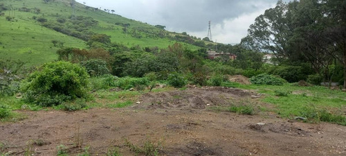 Imagen 3 de 9 de Terreno En Venta A Pie De Carretera Tecomatepec, Ixtapan De La Sal, Edomex